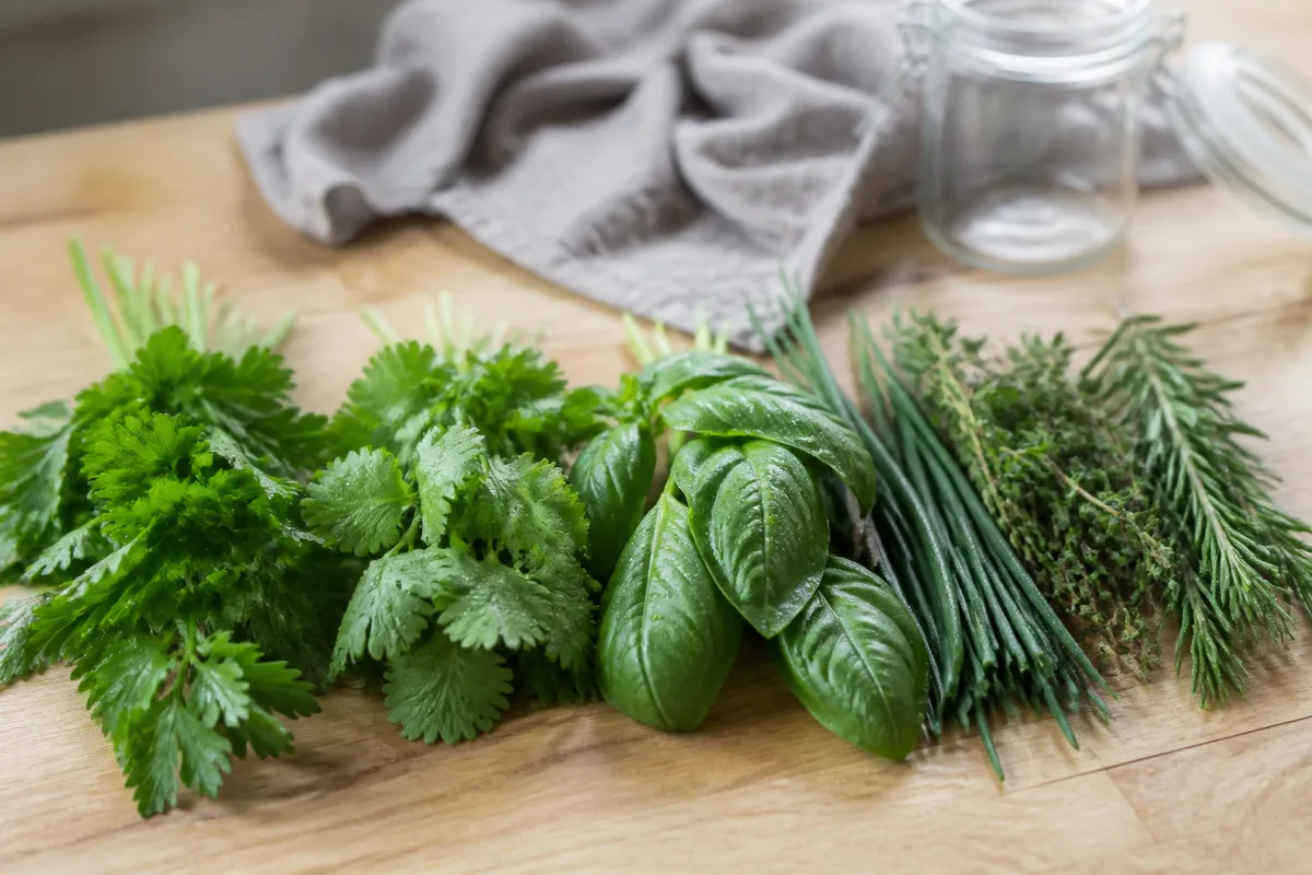 Conserver les herbes aromatiques : les méthodes